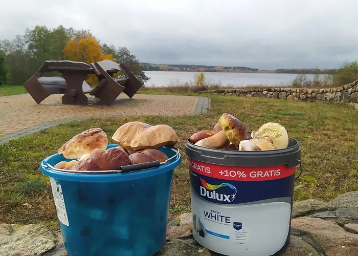 Pokoje Na Mazurach 50M Od Jeziora Goldopiwo
